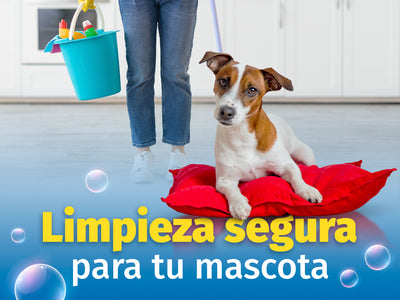 ¿Cómo limpiar la casa cuando hay mascotas?