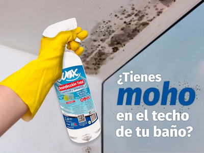 ¿Cómo evitar el moho en el techo del baño?